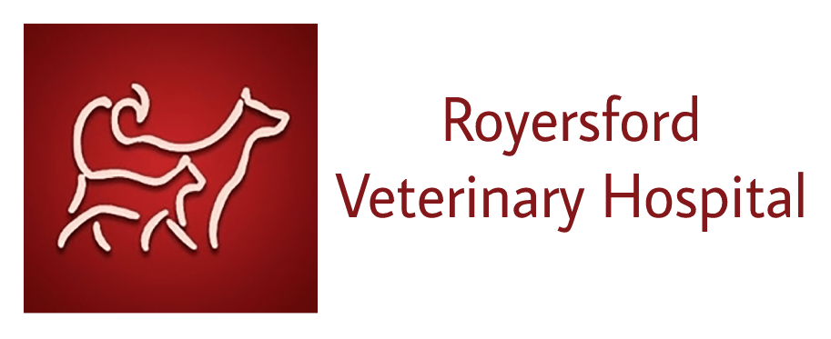 Royersford Veterinary Hospital